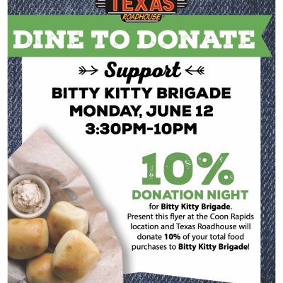 Bitty Kitty Night at Texas Roadhouse