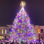 Anoka Tree Lighting