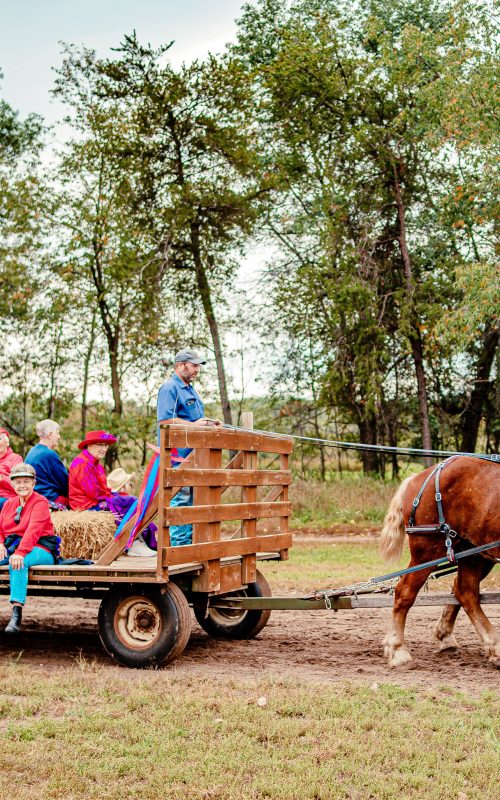 TCG september horsedrawn wagon v2 copy