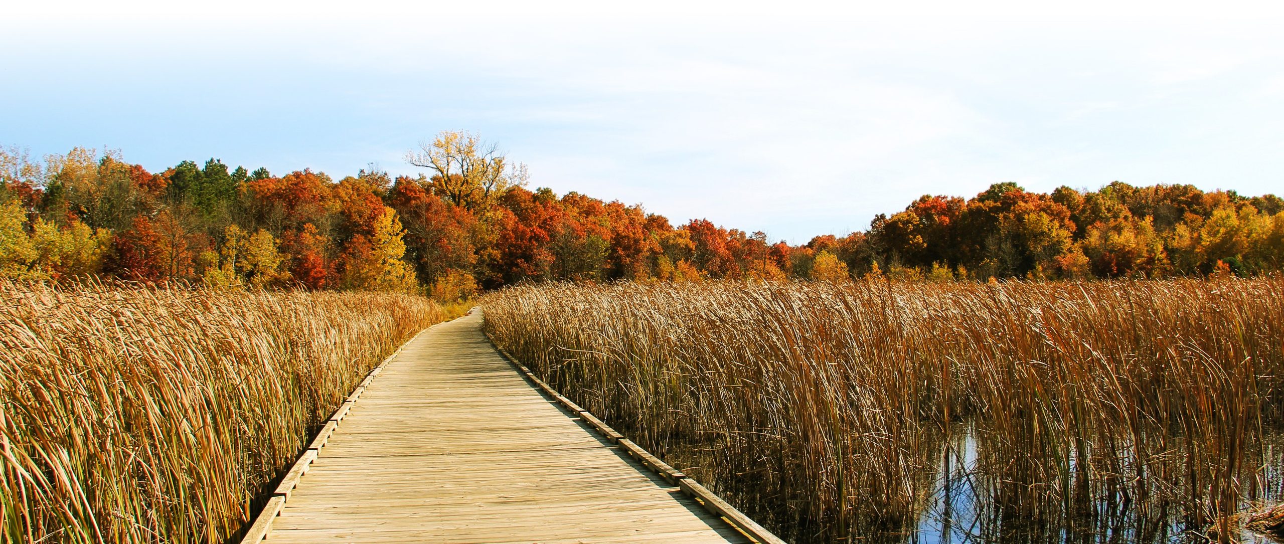 cropped graduated fall boardwalk